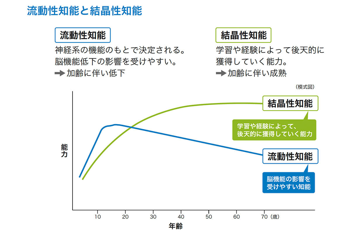 流動性知能と結晶性知能