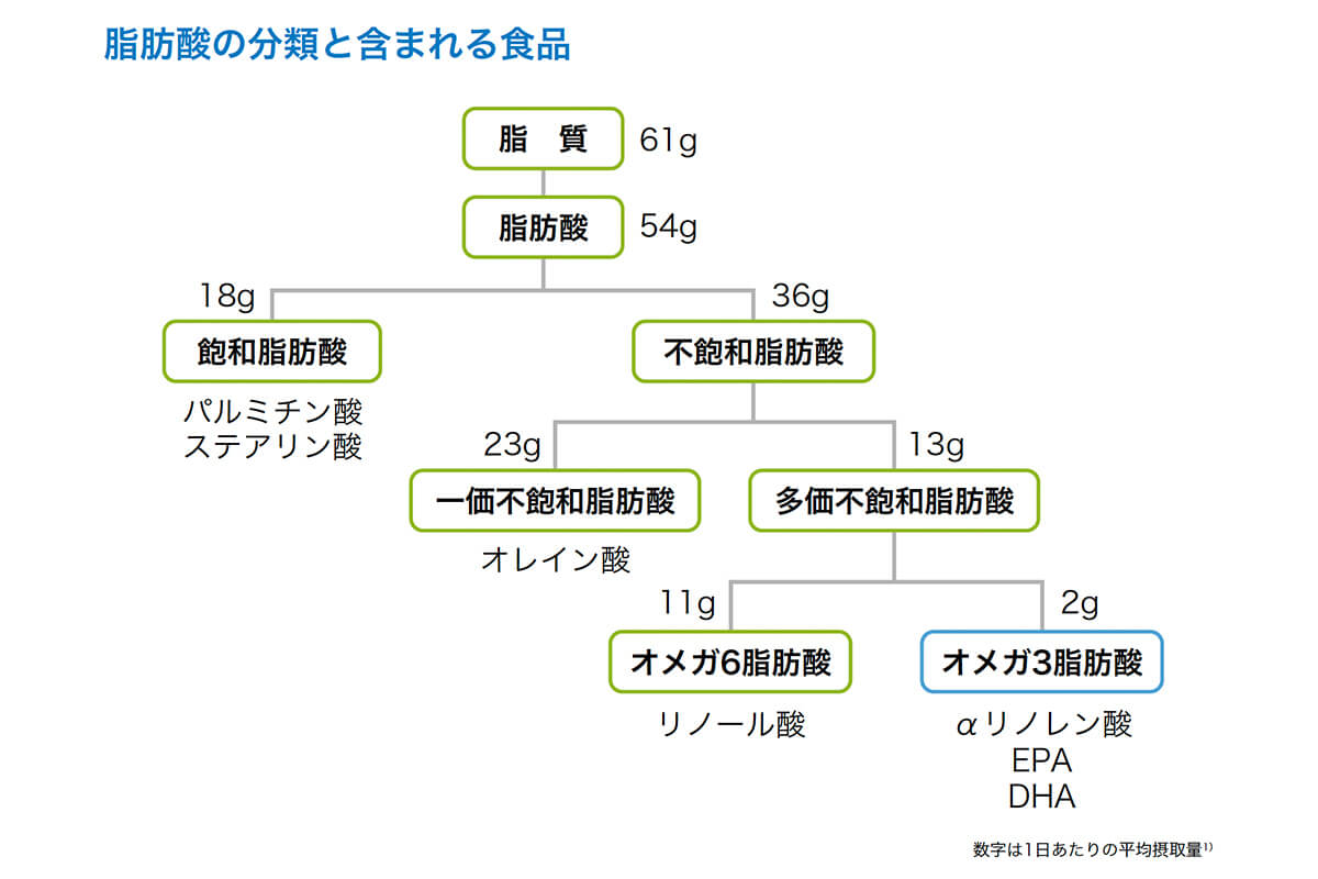 脂肪酸の分類と含まれる食品