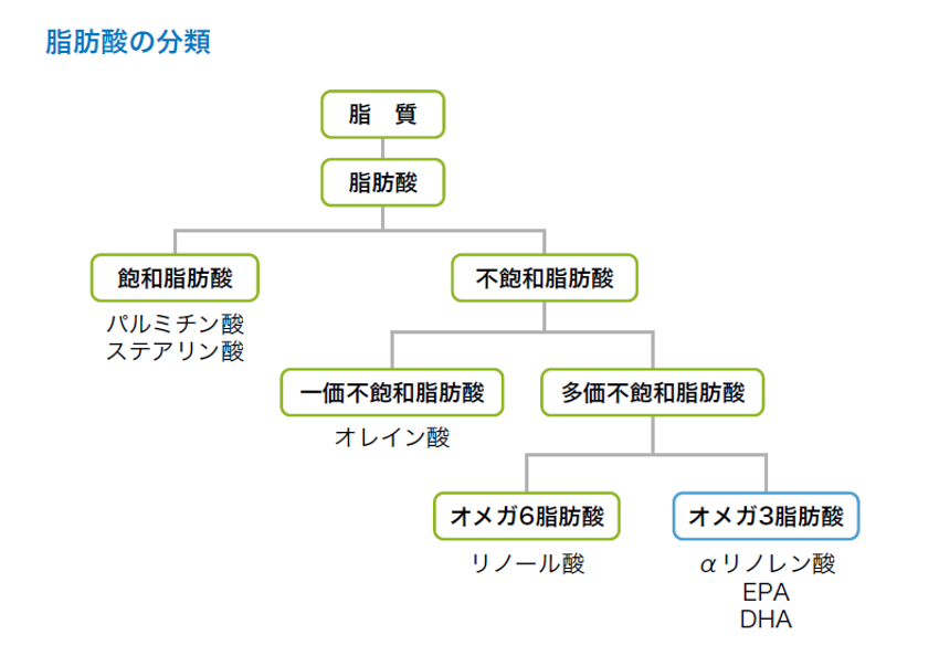 脂肪酸の分類