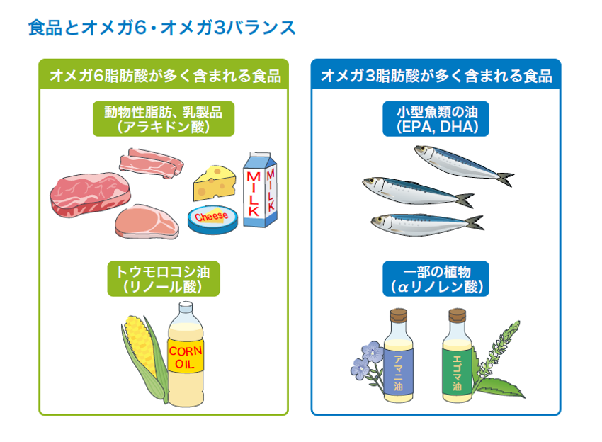 食品とオメガ6・オメガ3バランス