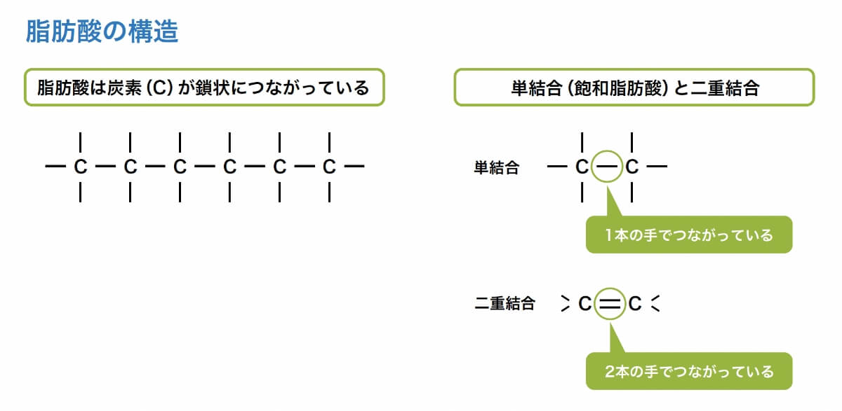 脂肪酸の構造