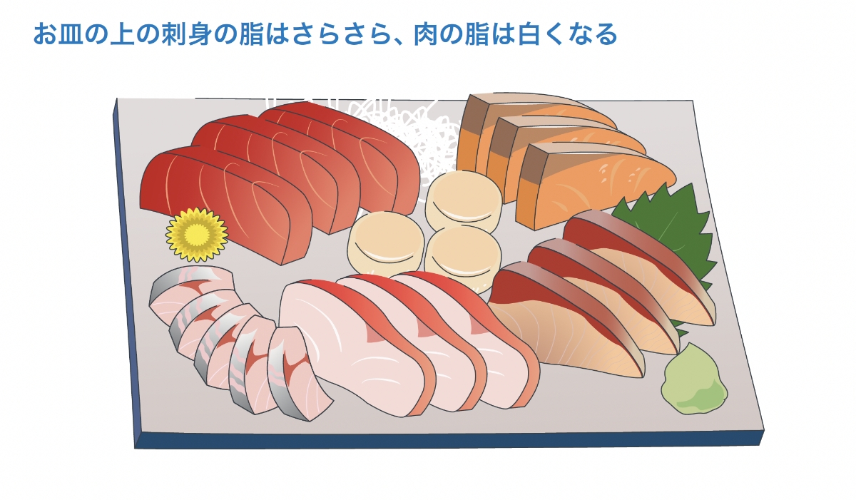 お皿の上の刺身の脂はさらさら、肉の脂は白くなる