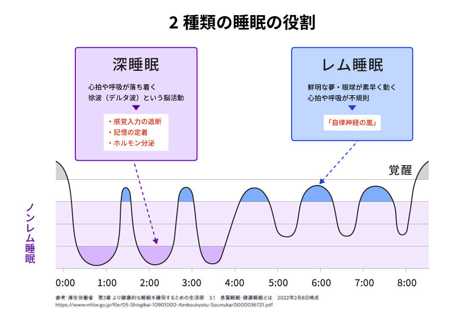 睡眠には2種類のタイプがある