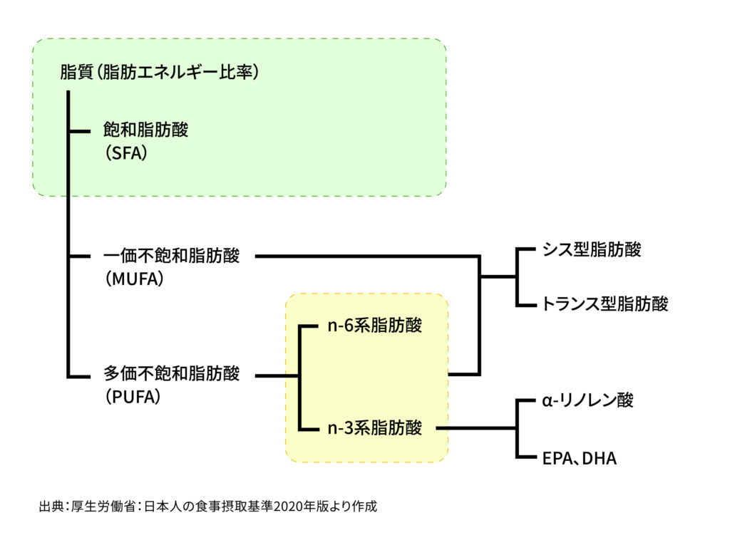 「もっと摂るべき脂肪」とは