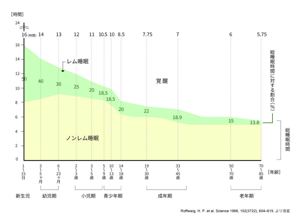 レム睡眠とノンレム睡眠の割合は年齢とともに変化していく