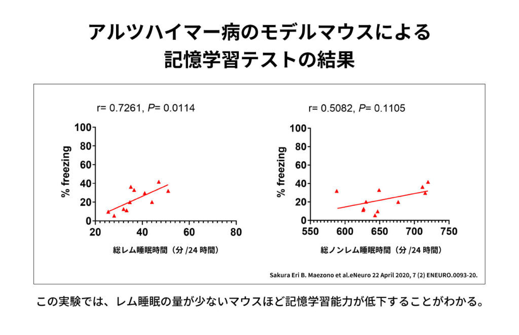 アルツハイマーのマウスを使った記憶力テスト実験